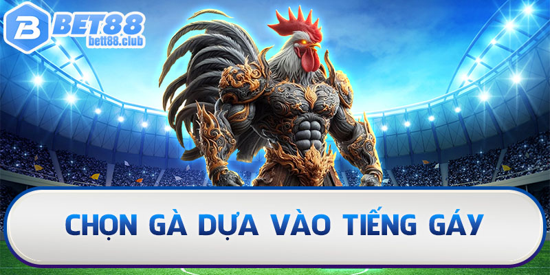 Chọn gà dựa vào tiếng gáy