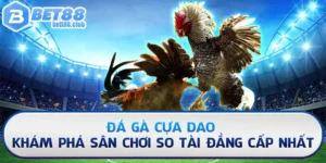 Đá Gà Cựa Dao - Khám Phá Sân Chơi So Tài Đẳng Cấp 2025