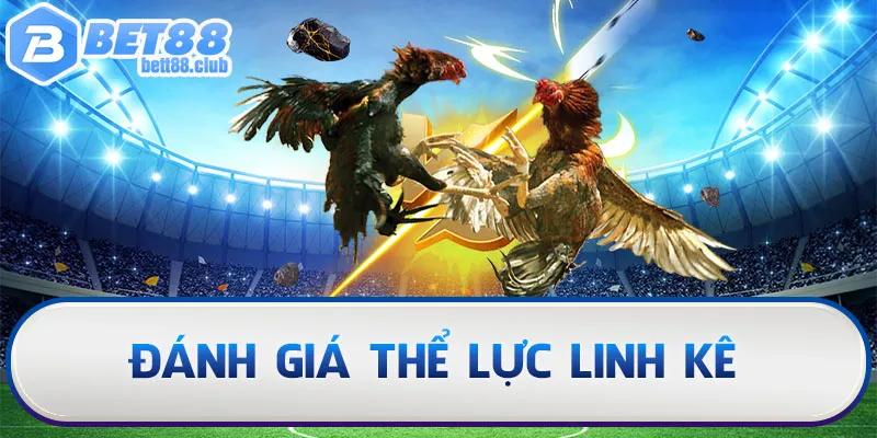 Đánh giá thể lực linh kê