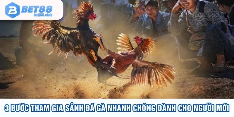 3 bước tham gia sảnh đá gà nhanh chóng dành cho người mới