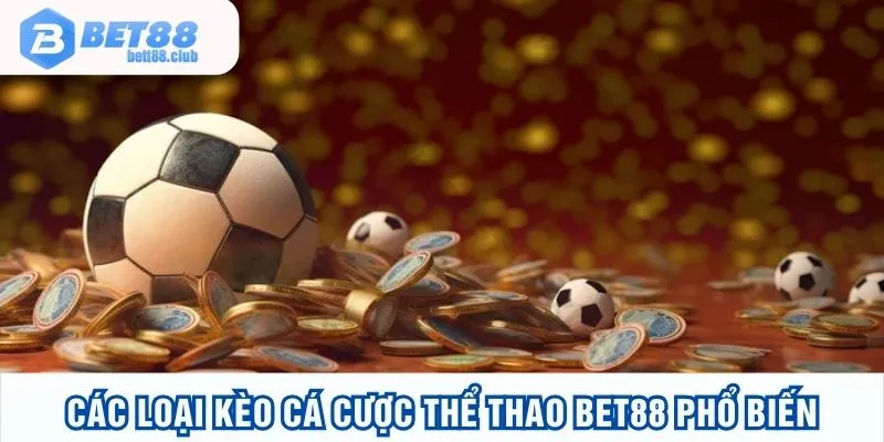 Các loại độ phổ biến tại đây