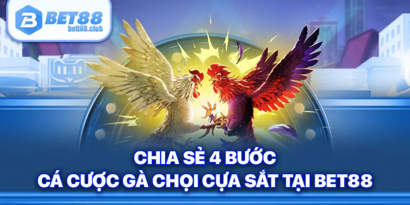 Chia sẻ 4 bước cá cược gà chọi cựa sắt tại Bet88