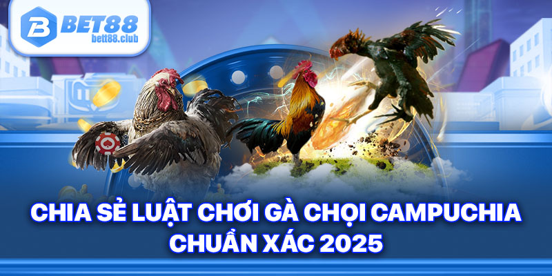 Chia sẻ luật chơi gà chọi Campuchia chuẩn xác 2025