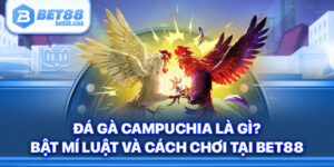 Đá Gà Campuchia Là Gì? Bật Mí Luật Và Cách Chơi Tại BET88
