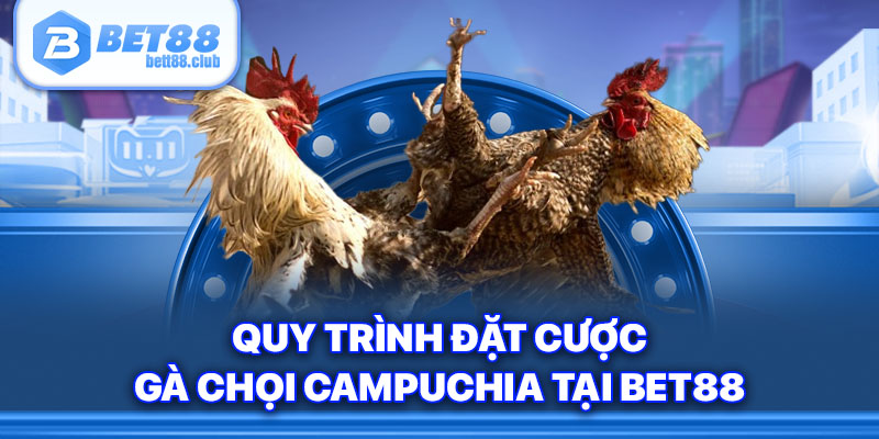Quy trình đặt cược gà chọi Campuchia tại BET88