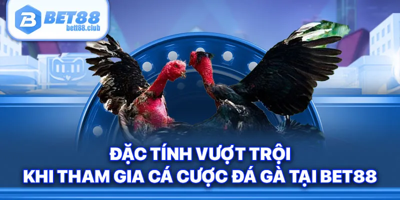 Đặc tính vượt trội khi tham gia cá cược đá gà tại BET88