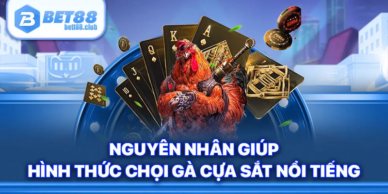 Nguyên nhân giúp hình thức chọi gà cựa sắt nổi tiếng