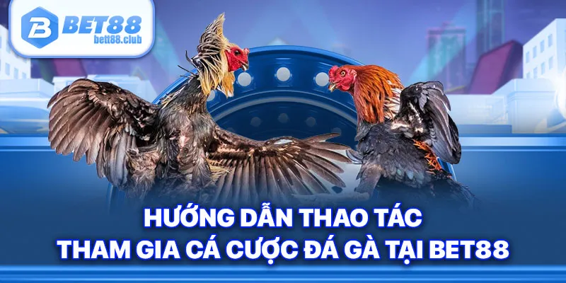 Hướng dẫn thao tác tham gia cá cược đá gà tại BET88