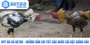 App Đá Gà Bet88 - Hướng Dẫn Chi Tiết Các Bước Cài Đặt Chính Xác