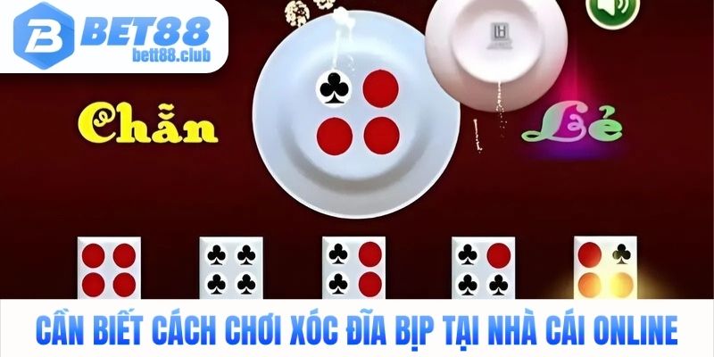 Cần biết cách chơi xóc đĩa bịp tại nhà cái online