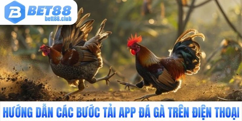 Hướng dẫn các bước tải app đá gà trên điện thoại